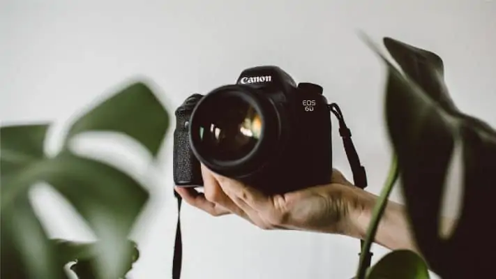 Kamera Bridge, Solusi All-in-One untuk Fotografi